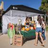 imageCROWN SHADES SunWall Silver Coated for 10x10 Pop up Canopy Tent with Targets 1 Pack Sidewall Only with Silver Coating 1 Pack BlackBlack