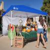 imageCROWN SHADES SunWall Silver Coated for 10x10 Pop up Canopy Tent with Targets 1 Pack Sidewall Only with Silver Coating 1 Pack BlackBlue