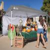 imageCROWN SHADES SunWall Silver Coated for 10x10 Pop up Canopy Tent with Targets 1 Pack Sidewall Only with Silver Coating 1 Pack BlackGray