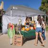 imageCROWN SHADES SunWall Silver Coated for 10x10 Pop up Canopy Tent with Targets 1 Pack Sidewall Only with Silver Coating 1 Pack BlackGray