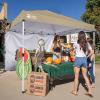 imageCROWN SHADES SunWall Silver Coated for 10x10 Pop up Canopy Tent with Targets 1 Pack Sidewall Only with Silver Coating 1 Pack BlackKhaki