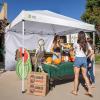 imageCROWN SHADES SunWall Silver Coated for 10x10 Pop up Canopy Tent with Targets 1 Pack Sidewall Only with Silver Coating 1 Pack BlackWhite