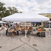 image:imageCROWN SHADES 10X20 Pop Up Canopy Commercial Outdoor Camping Tent 400D Fabric with 6 Sidewalls 6 Sand Bags StoN Go Bag GrayWhite